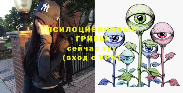 сатива Алзамай