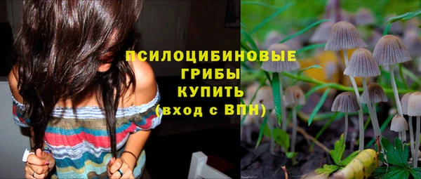 PSILOCYBIN Алексин