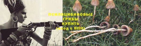 ECSTASY Алексеевка