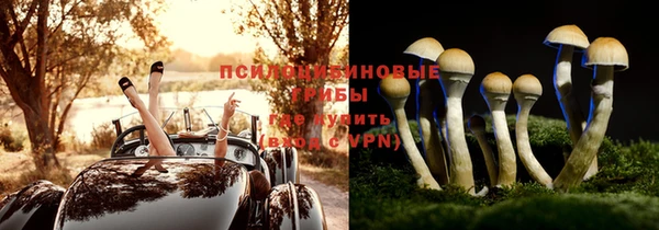 ГАЛЛЮЦИНОГЕННЫЕ ГРИБЫ Абдулино