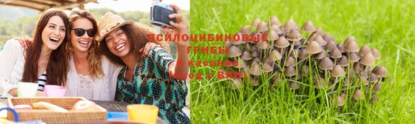ГАЛЛЮЦИНОГЕННЫЕ ГРИБЫ Абдулино