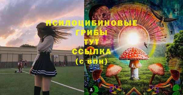 PSILOCYBIN Алексин