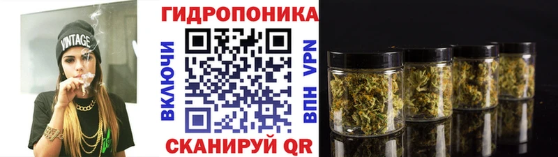 закладка Весьегонск hydra вход Каннабис Amnesia